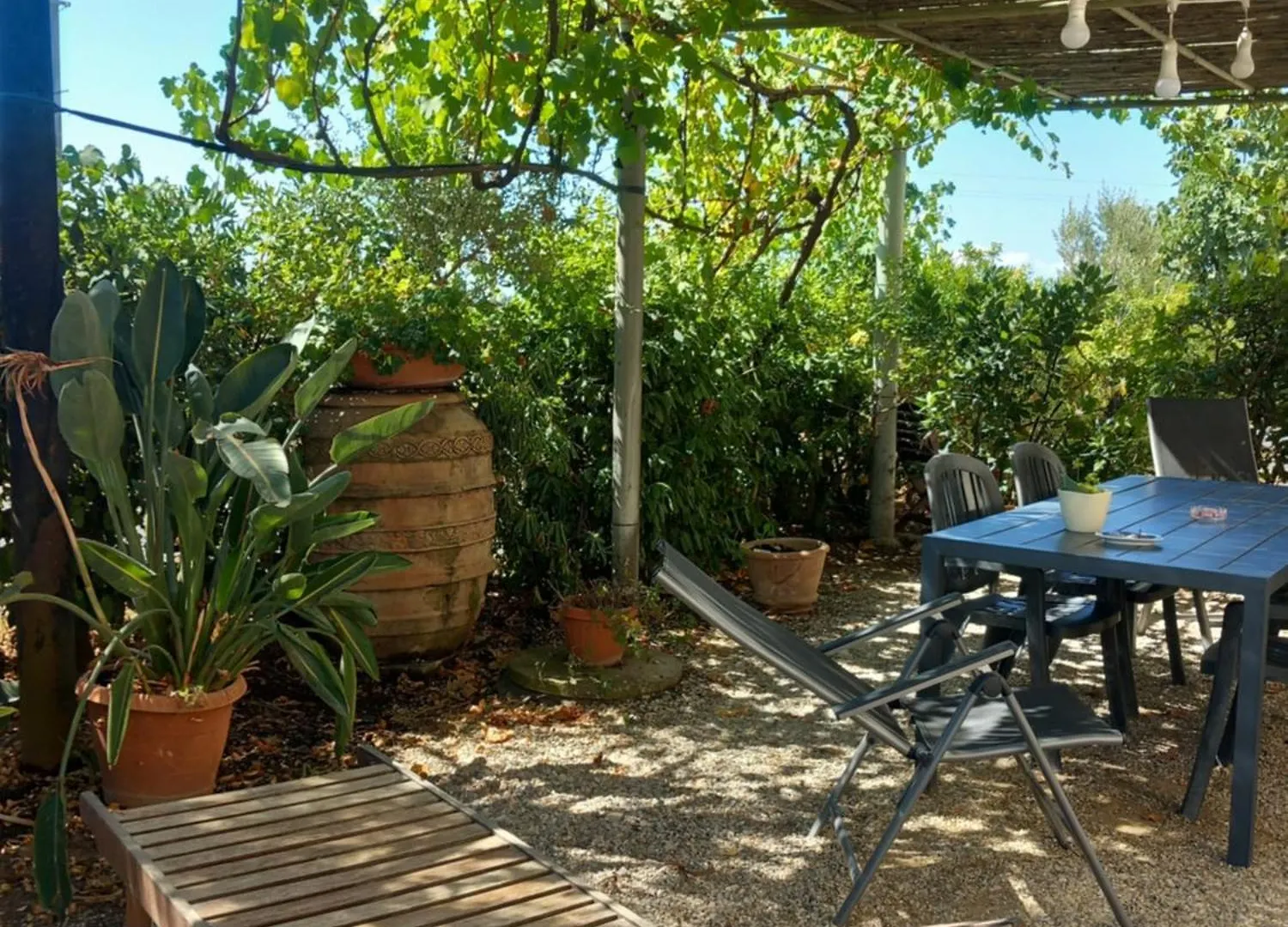 Bilocale Agriturismo Le Pinete A ريوتورتو 0*,