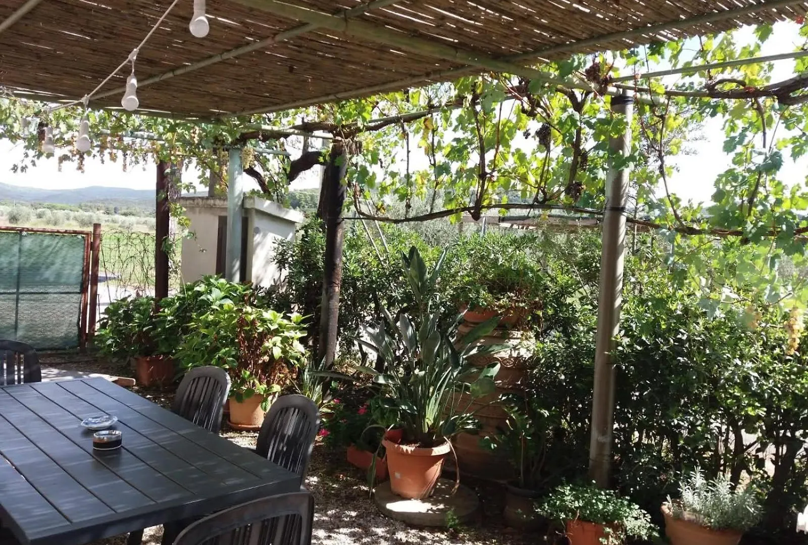 شقة Bilocale Agriturismo Le Pinete A ريوتورتو