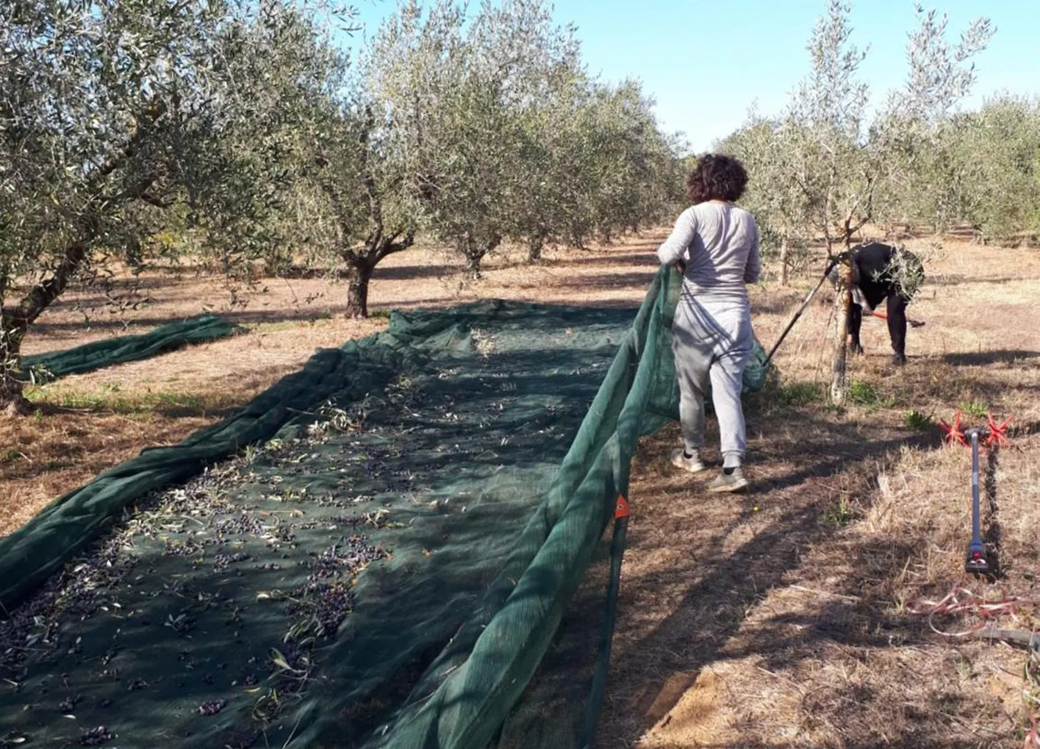 Bilocale Agriturismo Le Pinete A ريوتورتو إيطاليا