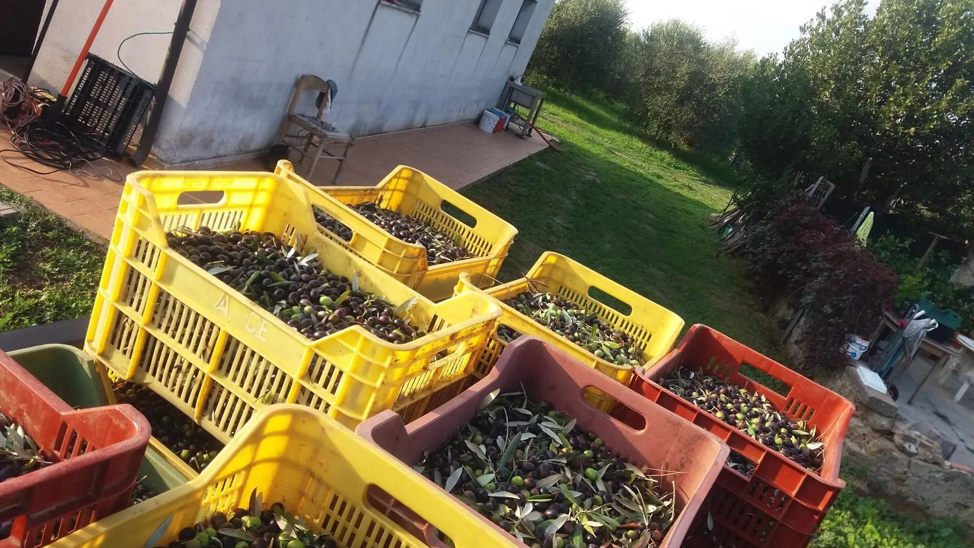 Bilocale Agriturismo Le Pinete A ريوتورتو إيطاليا